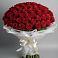 101 Красная роза Блэк Мэджик в Тацинской Букет 101 Красная роза Блэк Мэджик в Тацинской