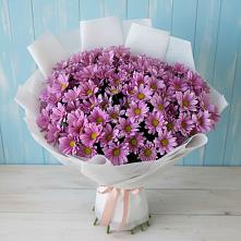 Букет сиреневая охапка в Тацинской Букет цветов из:  Хризантемы в Тацинской