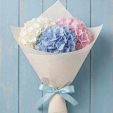 Букет цветов из:  Гортензия в Тацинской