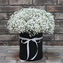 Цветочная композиция из Гипсофила в шляпной коробке в Тацинской