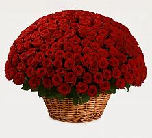 Премиум букет из: Розы #REPLACE_PRED# Тацинской