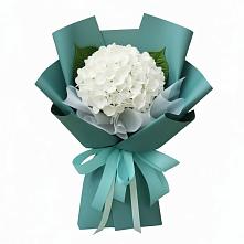 Букет цветов из:  Гортензия в Тацинской